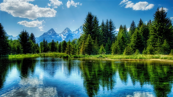 Lake Reflection with Grand Teton Mountains and Pine Forest