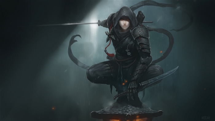 Ninja with swords in the rain