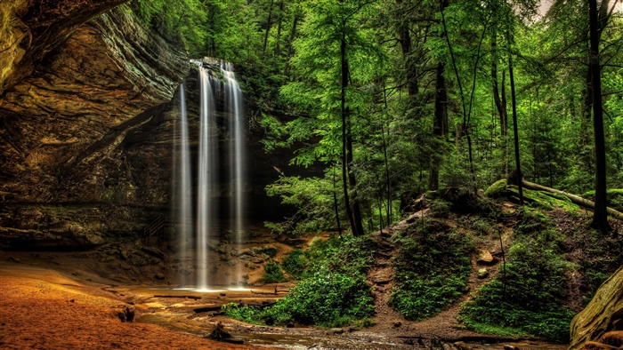 Waterfall in a Lush Green Forest