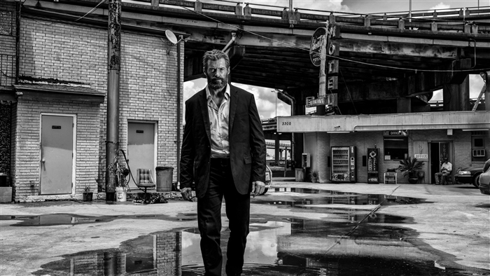 Logan from Marvel Comics