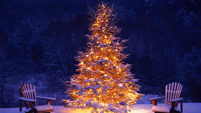 Glowing Christmas Tree with Snow and Chairs in Winter Night