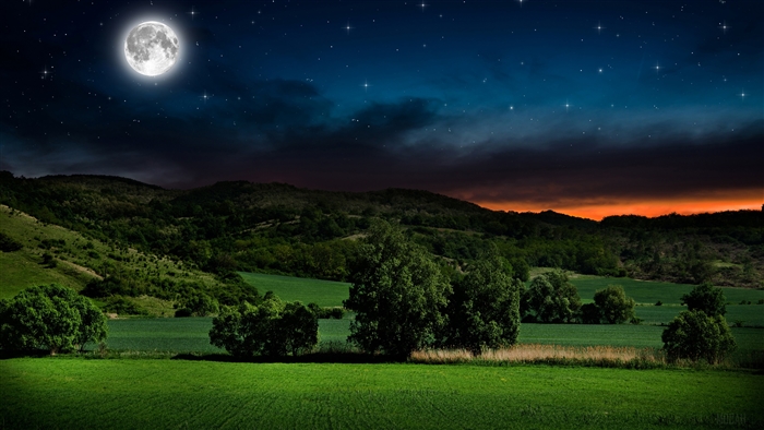 Night landscape with moon and stars over a field