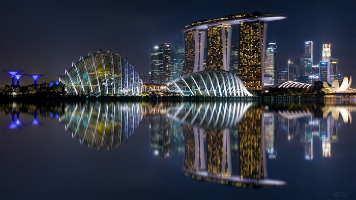 Singapore Skyline at Night with Reflections 4K