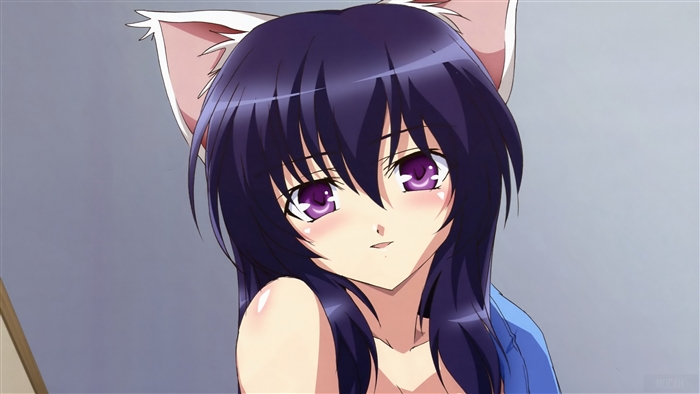 Anime girl with purple eyes and cat ears