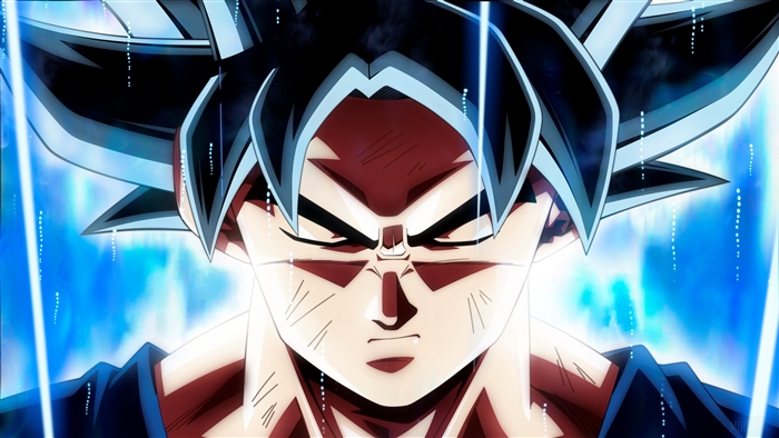 Goku in Ultra Instinct Form 4K