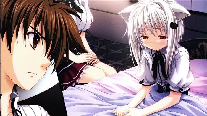 Akeno Himejima Issei Hyoudou Koneko Toujou