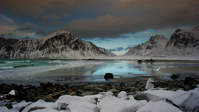 Snowy Mountains and Beach with Seagull