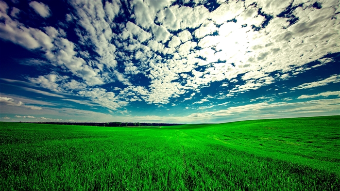 Vast green field under a cloudy blue sky 4K