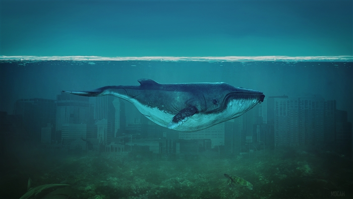 Whale swimming over submerged city with shark and turtle