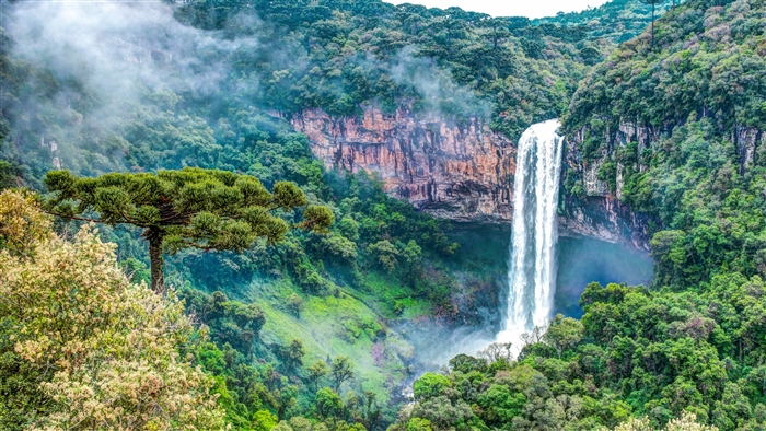 Majestic Waterfall in Lush Green Forest Valley