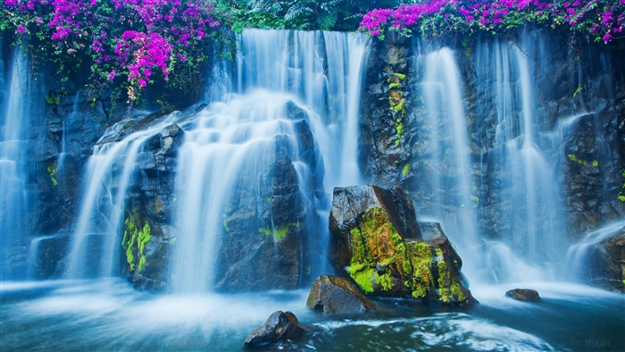 Waterfall with Purple Flowers and Rocks 4K