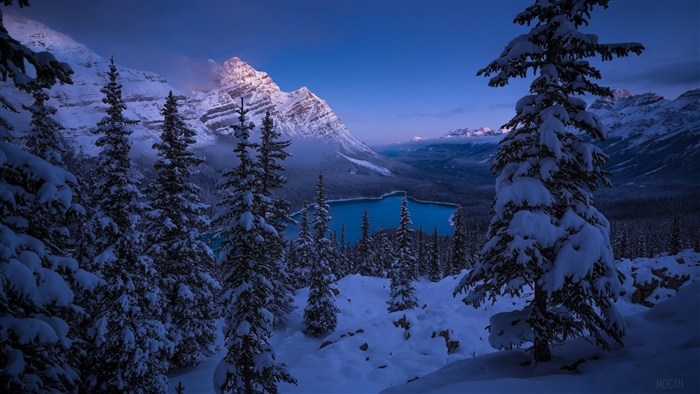 Banff National Park Snowy Mountain Lake 4K