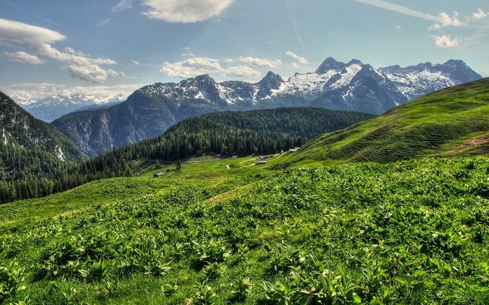 Green mountain landscape with snow-capped peaks