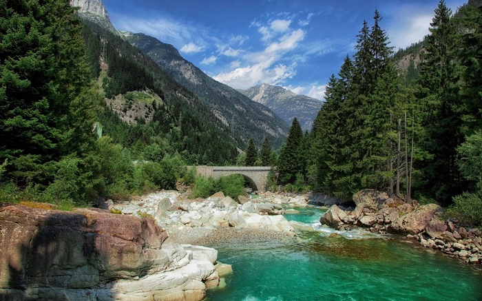 Mountain valley with river and stone bridge