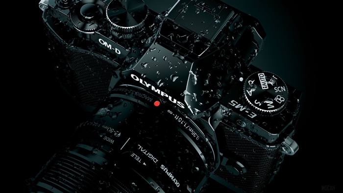 Olympus OM-D E-M5 Camera with Lens