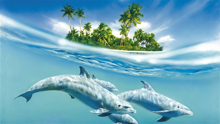 Dolphins swimming near a tropical island 4K