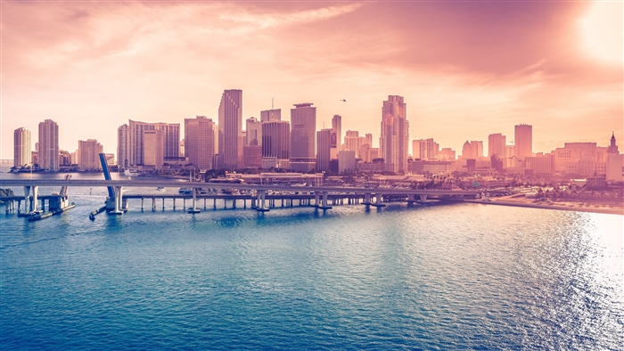 Miami Cityscape with Bridge and Water 4K