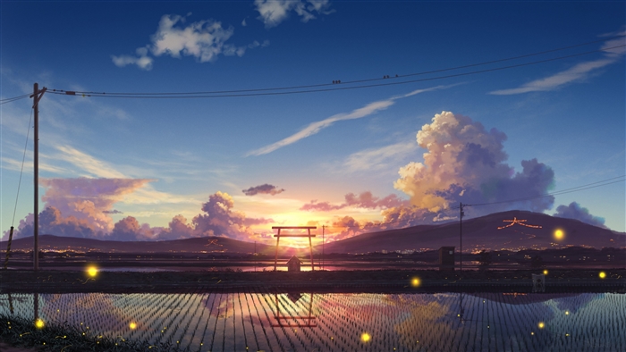 Serene Sunset Over Rice Fields 4K