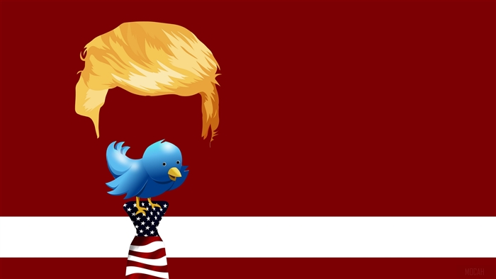 Donald Trump's hair and Twitter bird on American tie