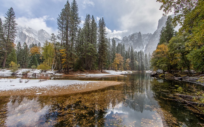 Snowy Mountain Forest by a Calm Lake