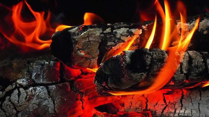 Close-up of burning logs and embers in 4K