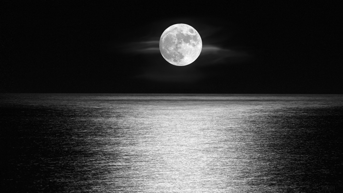 Moonlight Over Ocean Horizon in Black and White 4K