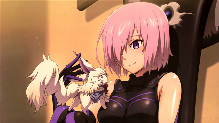 Shielder from Fate/Grand Order 4K