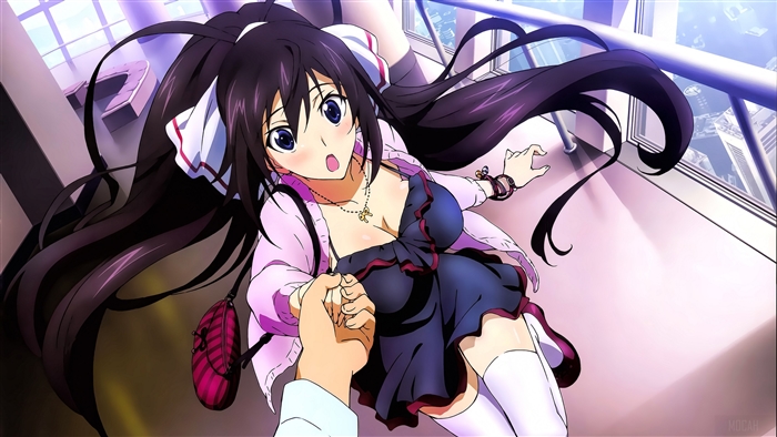 Houki Shinonono from Infinite Stratos 4K