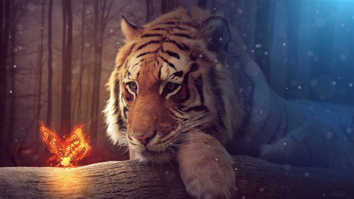 Tiger and Glowing Firefly in Mystical Forest 4K