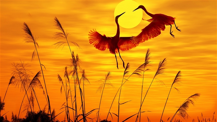 Herons Flying at Sunset in Vibrant Orange Sky