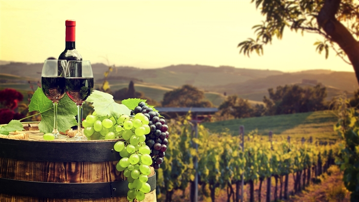 Wine bottle and glasses in a vineyard 4K