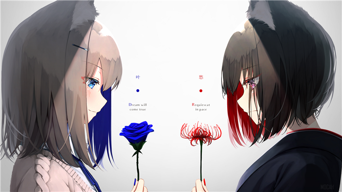 Contrasting Blue and Red Flower Girls 4K