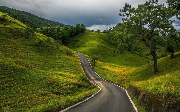 Winding road through green hills with yellow flowers