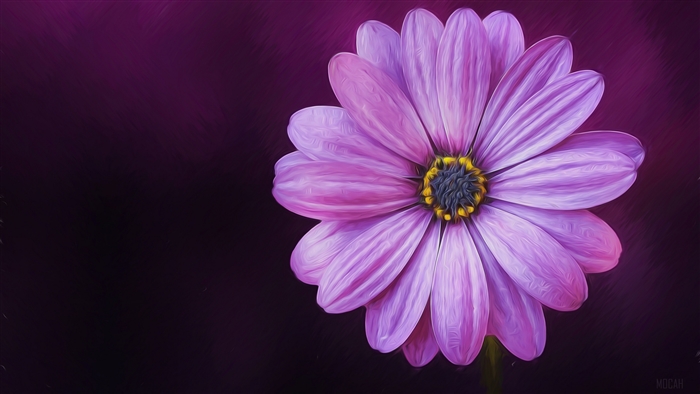 Purple Daisy Flower Oil Painting 4K