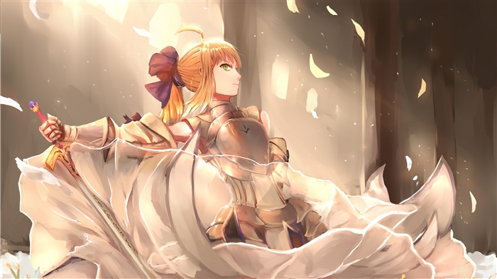 Saber Lily from Fate/Unlimited Codes 4K