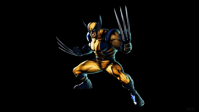 Wolverine from Marvel Comics 4K