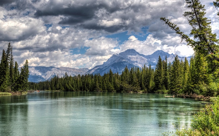River and Mountains with Pine Forest