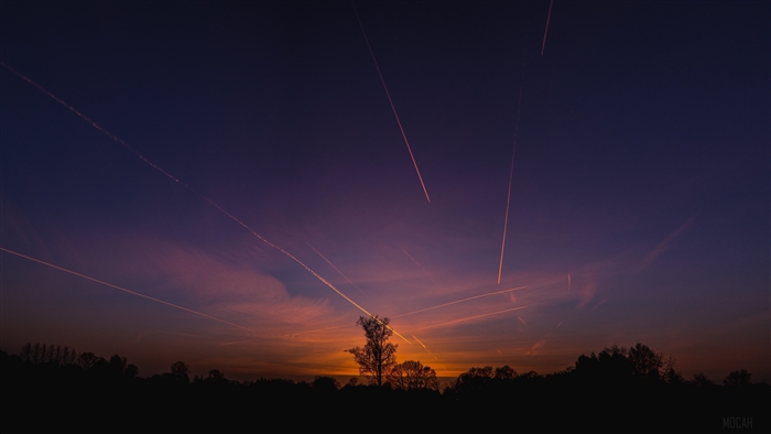 Sunset Sky with Airplane Trails and Silhouetted Trees 4K