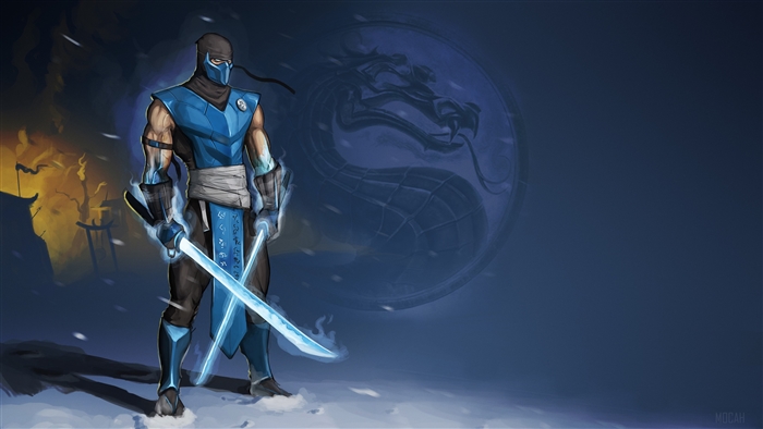 Sub-Zero from Mortal Kombat with swords