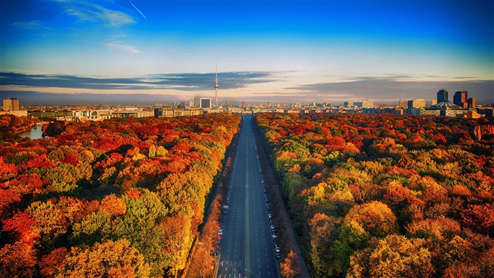 Berlin in Fall: Highway through Autumn Forest 4K