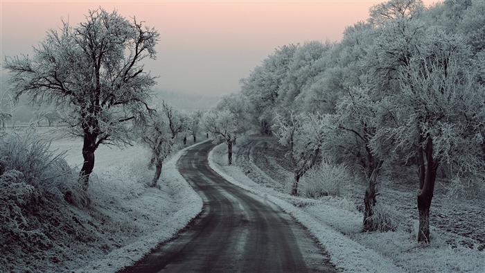 Winding Road Through a Frost-Covered Forest in Winter 4K