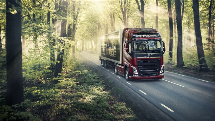 Volvo Truck Driving Through Sunlit Forest 4K