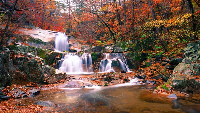 Waterfall in a forest with fall foliage 4K