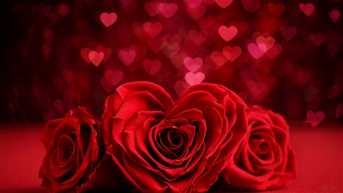 Romantic Red Rose Heart with Bokeh 4K