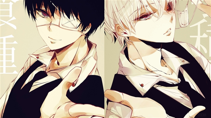 Two anime boys with black and white hair