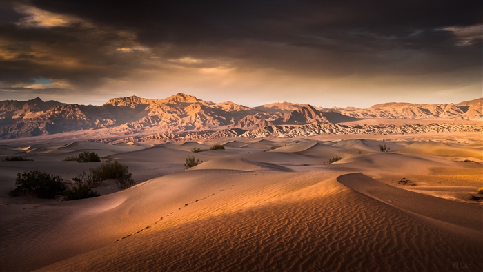 Sunlit Desert Dunes with Mountain Backdrop 4k