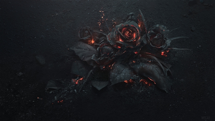 Burning roses on dark ground 4K