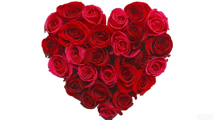 Heart Shape Made of Red Roses
