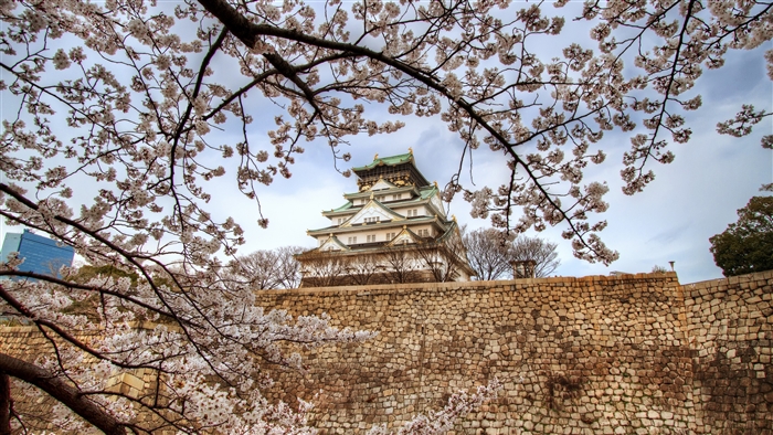 Osaka Castle with Cherry Blossoms in Spring 4K