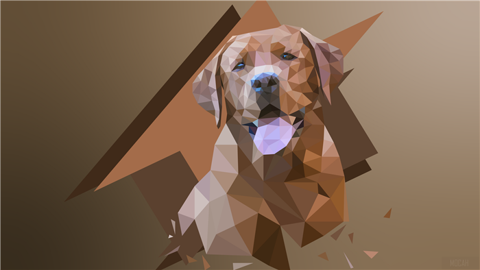 Low Poly Dog Portrait 4K